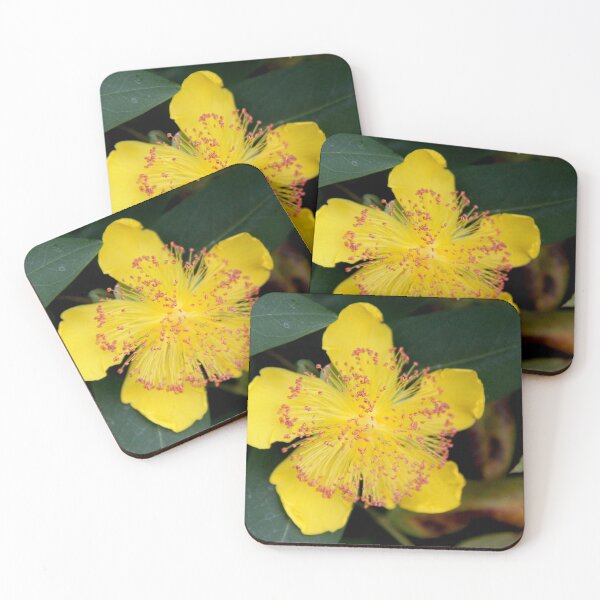 Item preview, Yellow opened spring perennial flower  designed and sold by EstelleRossetti.