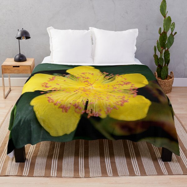 Item preview, Yellow opened spring perennial flower  designed and sold by EstelleRossetti.