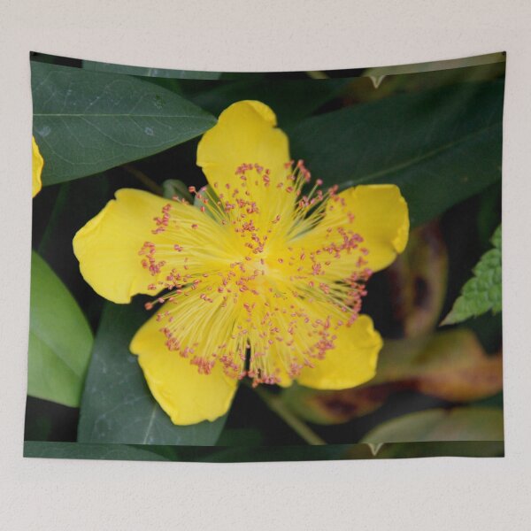 Item preview, Yellow opened spring perennial flower  designed and sold by EstelleRossetti.