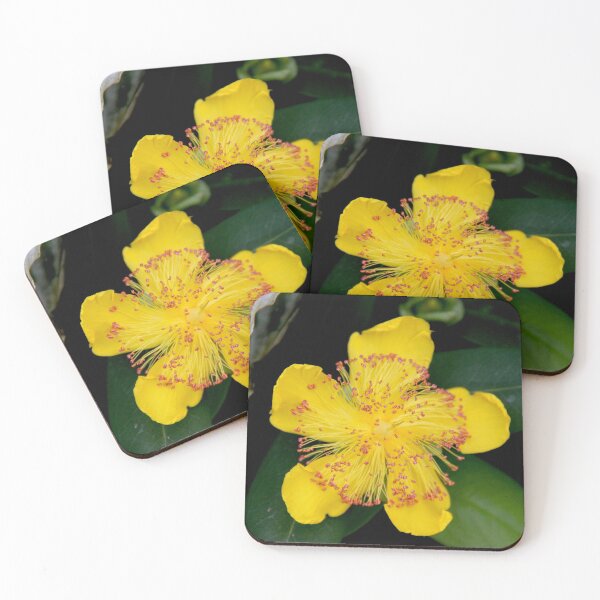 Item preview, Yellow opened spring perennial flower  designed and sold by EstelleRossetti.
