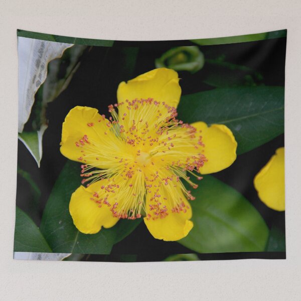Item preview, Yellow opened spring perennial flower  designed and sold by EstelleRossetti.