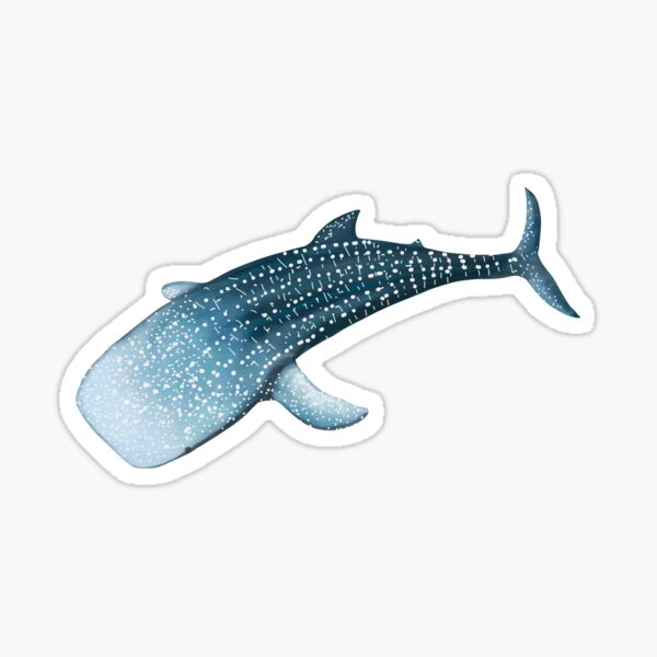 Item preview, Watercolor whale shark  designed and sold by lisaedlund.