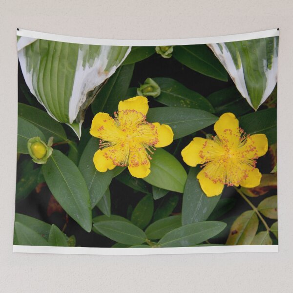 Item preview, Yellow opened spring perennial flower  designed and sold by EstelleRossetti.