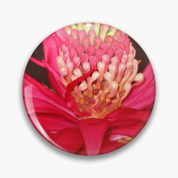 Item preview, Telopea speciosissima - "Waratah" designed and sold by Marilyn Harris.