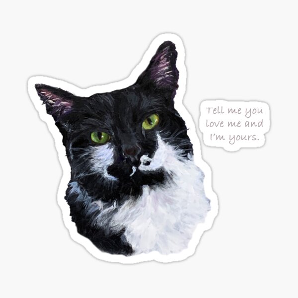 I'm Yours, Tuxedo Cat Sticker