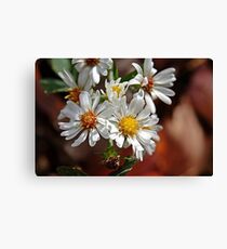 flowers Canvas Print