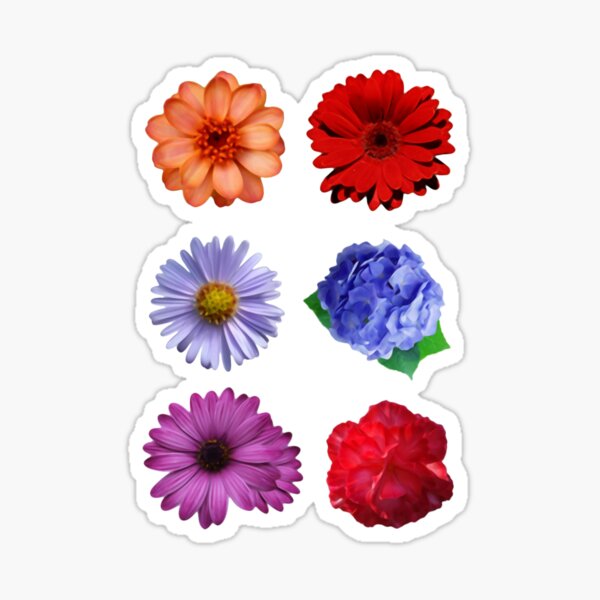 Regalos y productos: Flores Negras Pintadas | Redbubble