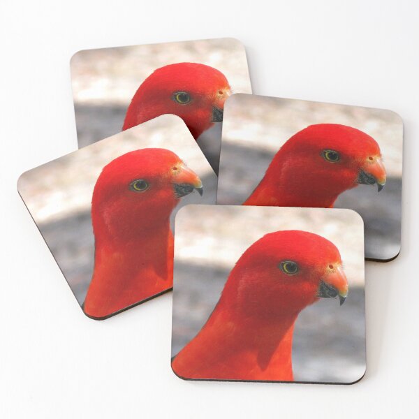 Item preview, Australian King Parrot designed and sold by Marilyn Harris.