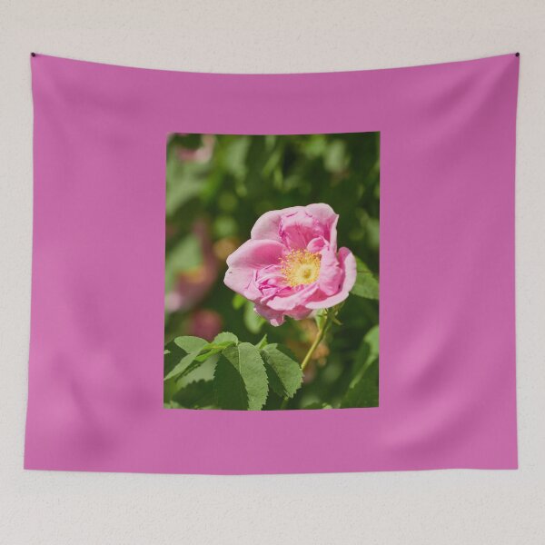 Item preview, The Rose of Tarja Halonen 70 designed and sold by Jouko Lehto Photography.