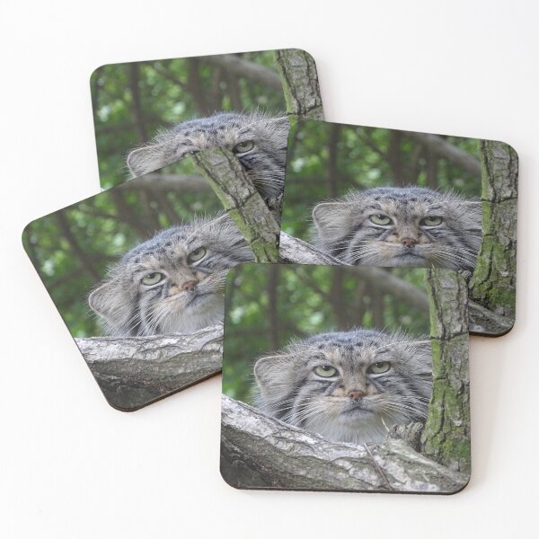 Item preview, Wild Cat designed and sold by Erika Kaisersot.