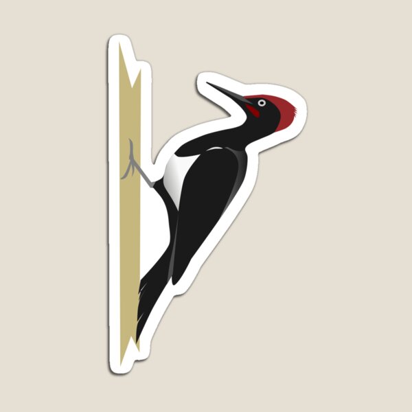 Woody Woodpecker Magnets Redbubble