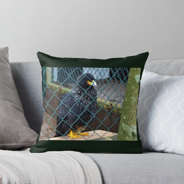 Item preview, Striated Caracara.......... designed and sold by lynn carter.