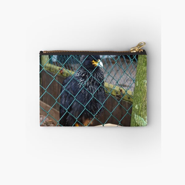 Item preview, Striated Caracara.......... designed and sold by lynn carter.