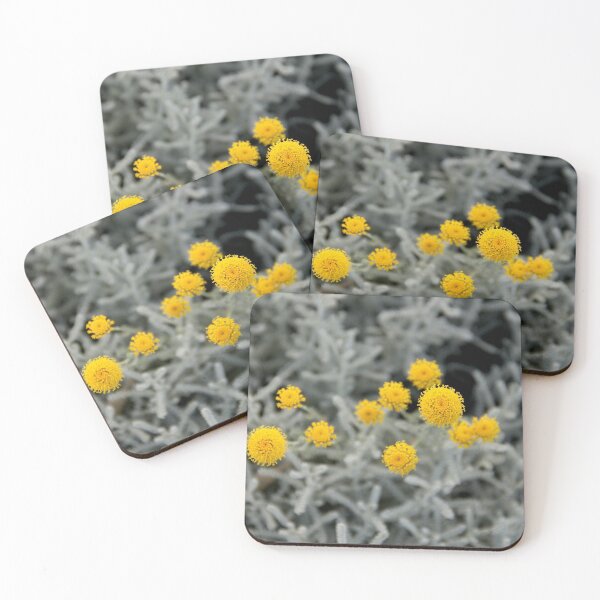 Item preview, Cotton lavender medicinal silver herb garden	 designed and sold by EstelleRossetti.