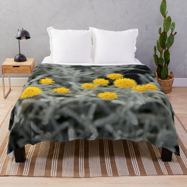 Item preview, Cotton lavender medicinal silver herb garden	 designed and sold by EstelleRossetti.