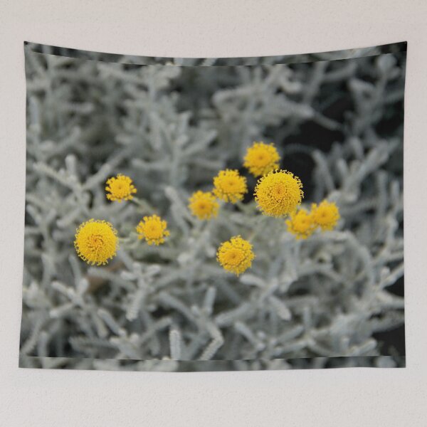 Item preview, Cotton lavender medicinal silver herb garden	 designed and sold by EstelleRossetti.