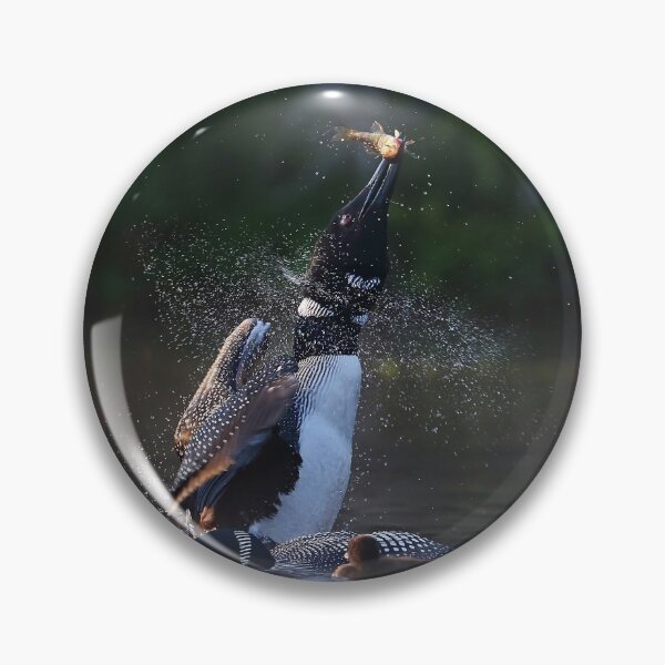 Item preview, Pisces Rising - Common Loon designed and sold by James Cumming.