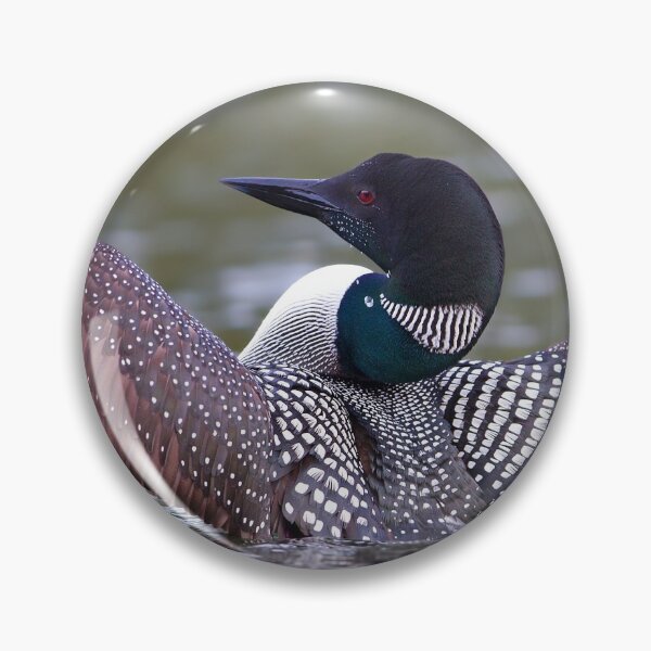Item preview, Loon Stretch - Common Loon designed and sold by James Cumming.