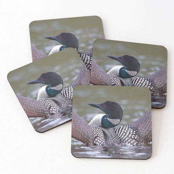 Item preview, Loon Stretch - Common Loon designed and sold by James Cumming.