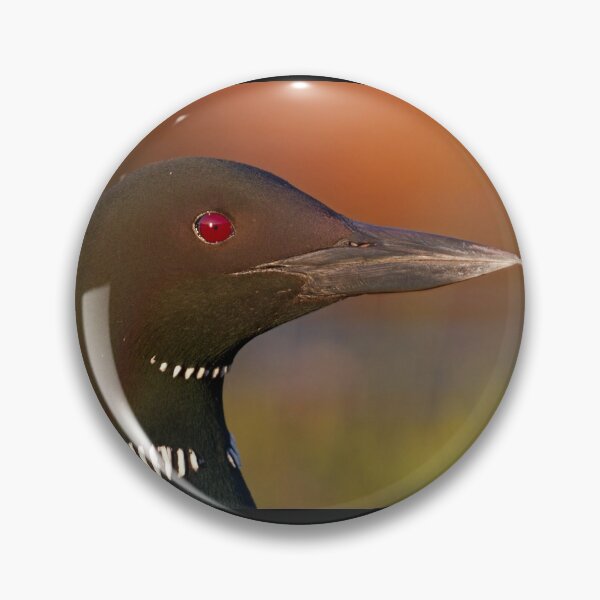 Item preview, Common loon  designed and sold by James Cumming.