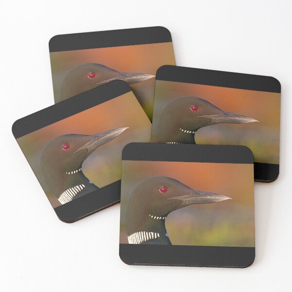 Item preview, Common loon  designed and sold by James Cumming.