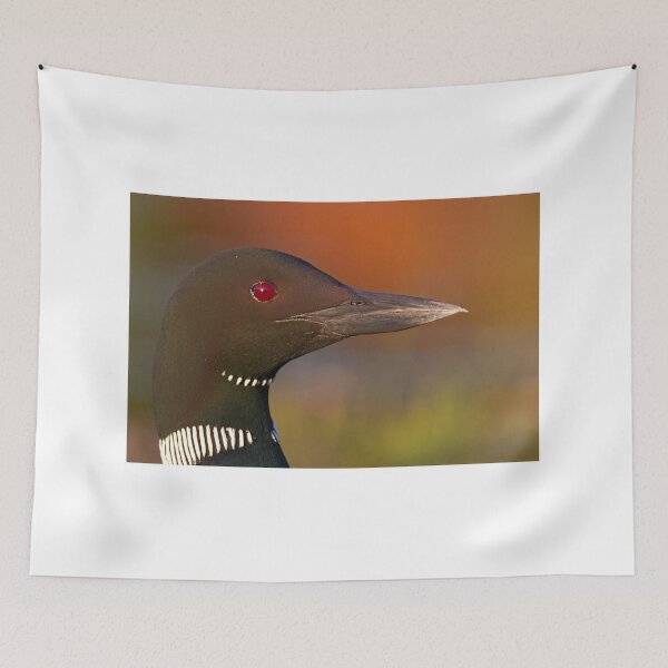 Item preview, Common loon  designed and sold by James Cumming.
