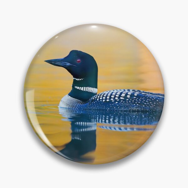 Item preview, Rainbow Loon - Common Loon designed and sold by James Cumming.