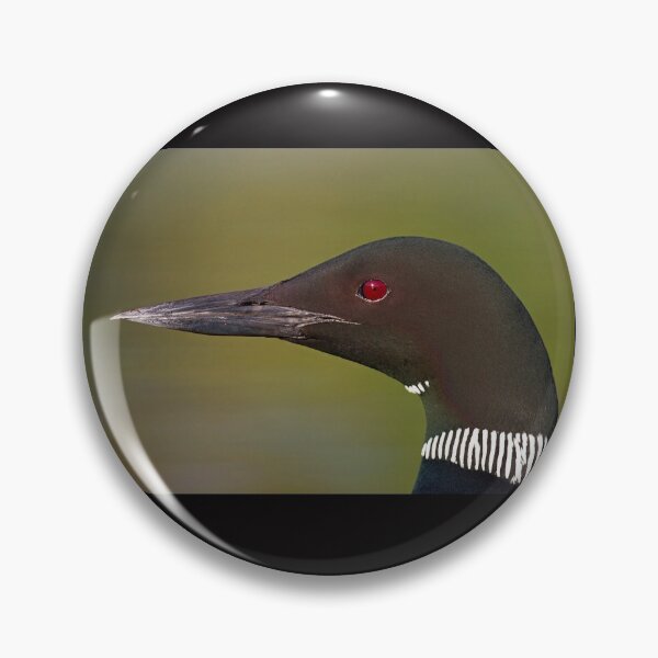Item preview, Common Loon profile designed and sold by James Cumming.