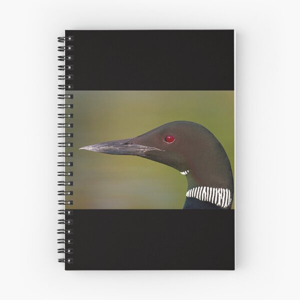 Item preview, Common Loon profile designed and sold by James Cumming.