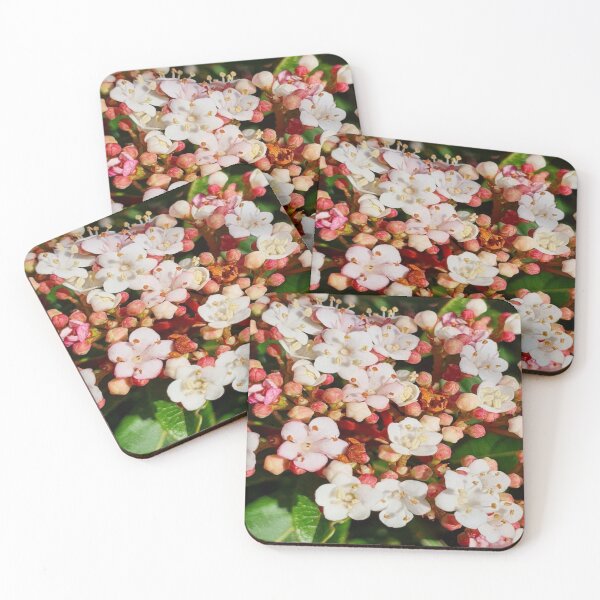 Item preview, Multicolored Bloom Flowers DESIGN  designed and sold by Ashraf Can.