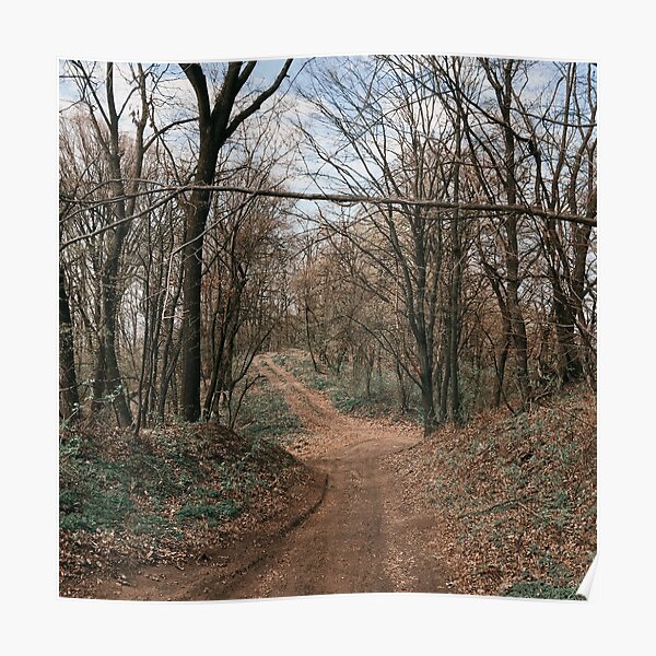 Spring Woods Poster