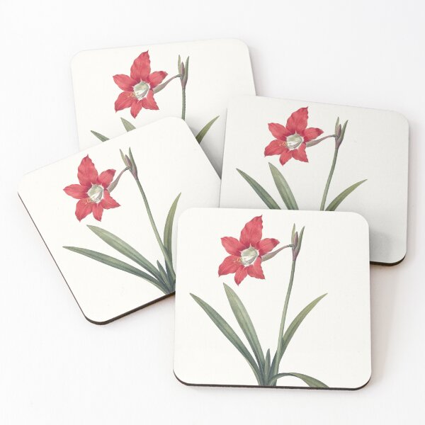 Item preview, Vintage Victorian Botanical Flower Art designed and sold by rosebotanicals.