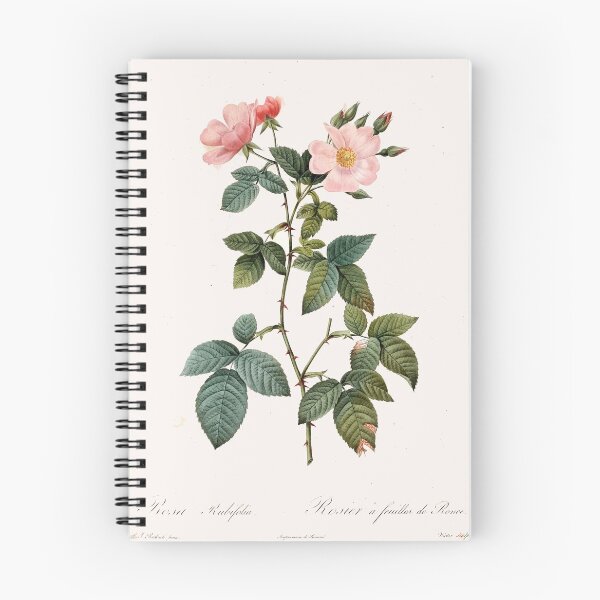 Item preview, Vintage Victorian Rose Botanical Flower designed and sold by rosebotanicals.
