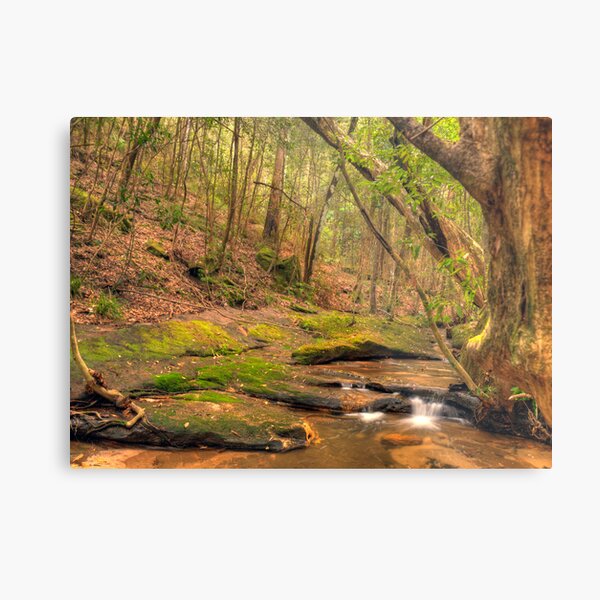 Item preview, Sassafras Gully Cascade designed and sold by Terry Everson.