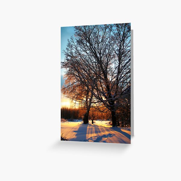 REDREAMING WINTER TREE Greeting Card