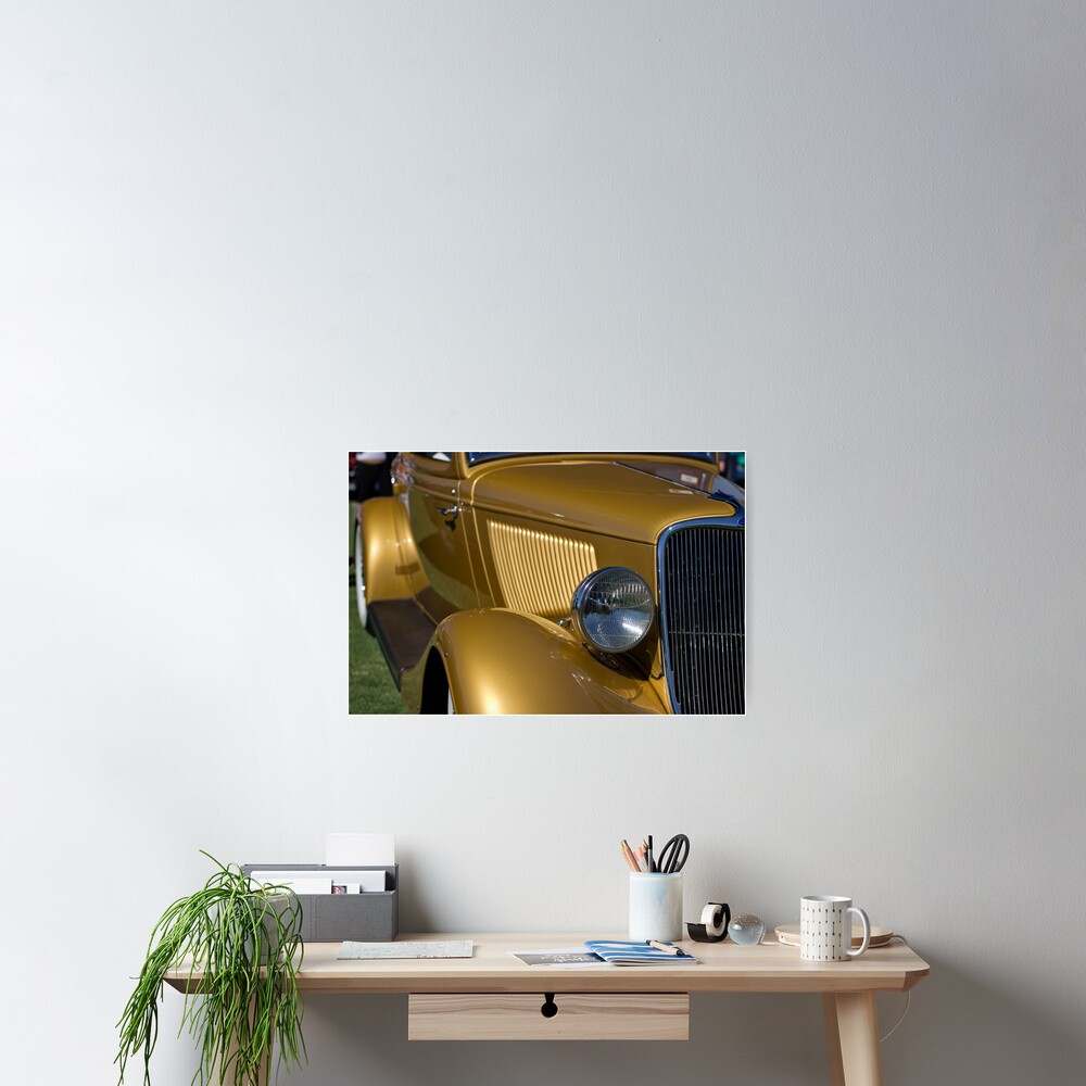 Golden Gills Poster