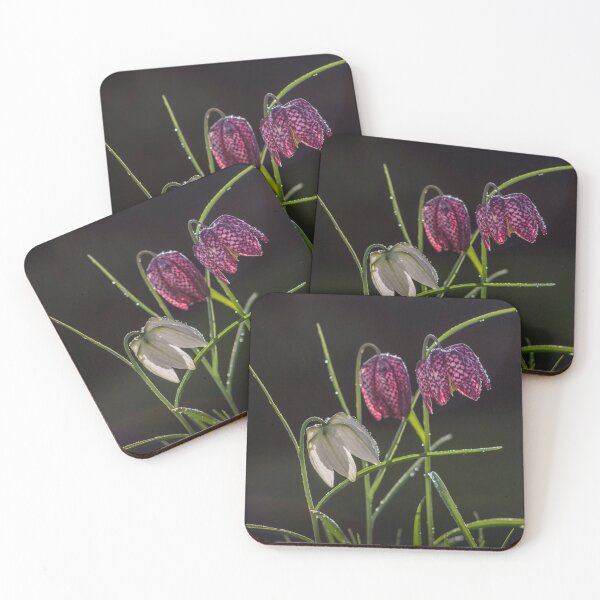 Item preview,  Snakes Head Fritillary. designed and sold by John Ray.