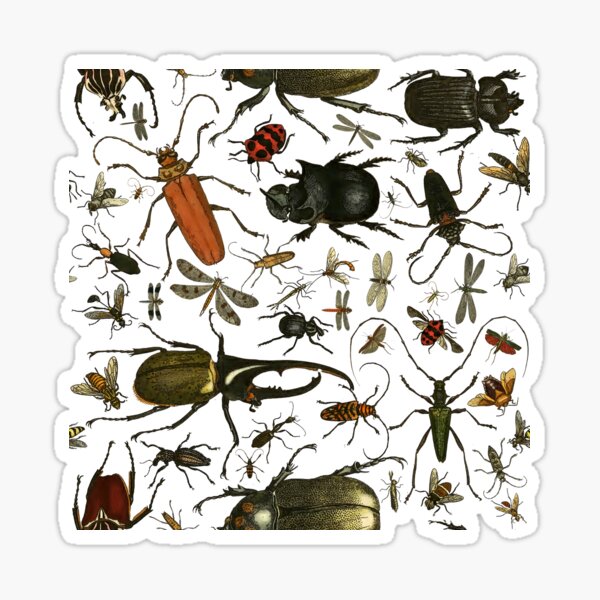 Item preview, The Teeming Hoards 2 designed and sold by Salocin.
