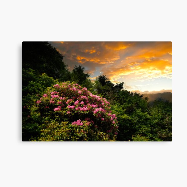 Item preview, GOD'S BOUQUET AT SUNSET designed and sold by Randy Branham.