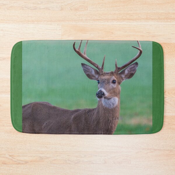 Item preview, Seven Point Buck designed and sold by mljdwhite.