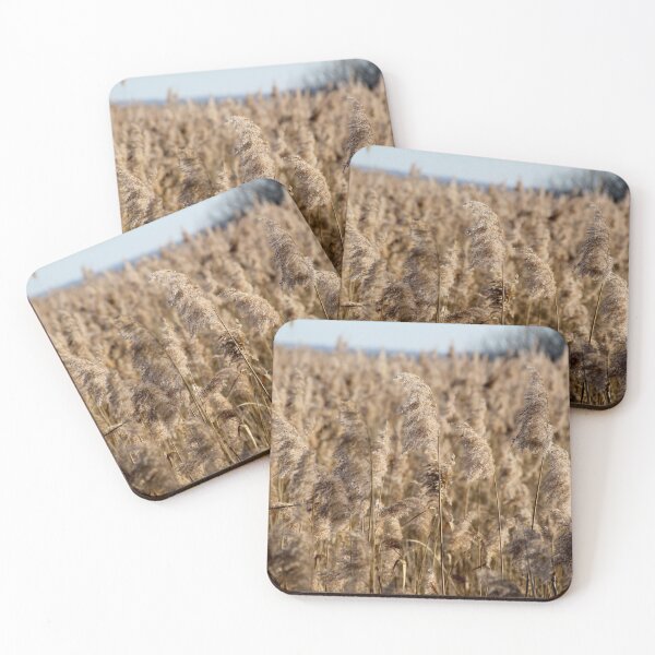 Item preview, Madine lake natural reeds landscape	 designed and sold by EstelleRossetti.