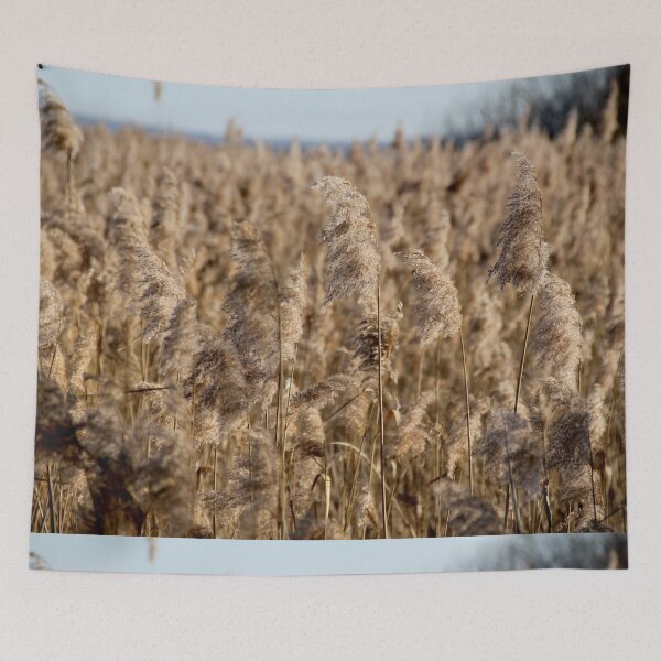 Item preview, Madine lake natural reeds landscape	 designed and sold by EstelleRossetti.