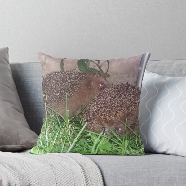 Item preview,  Hedgehog designed and sold by Sternchen2789.