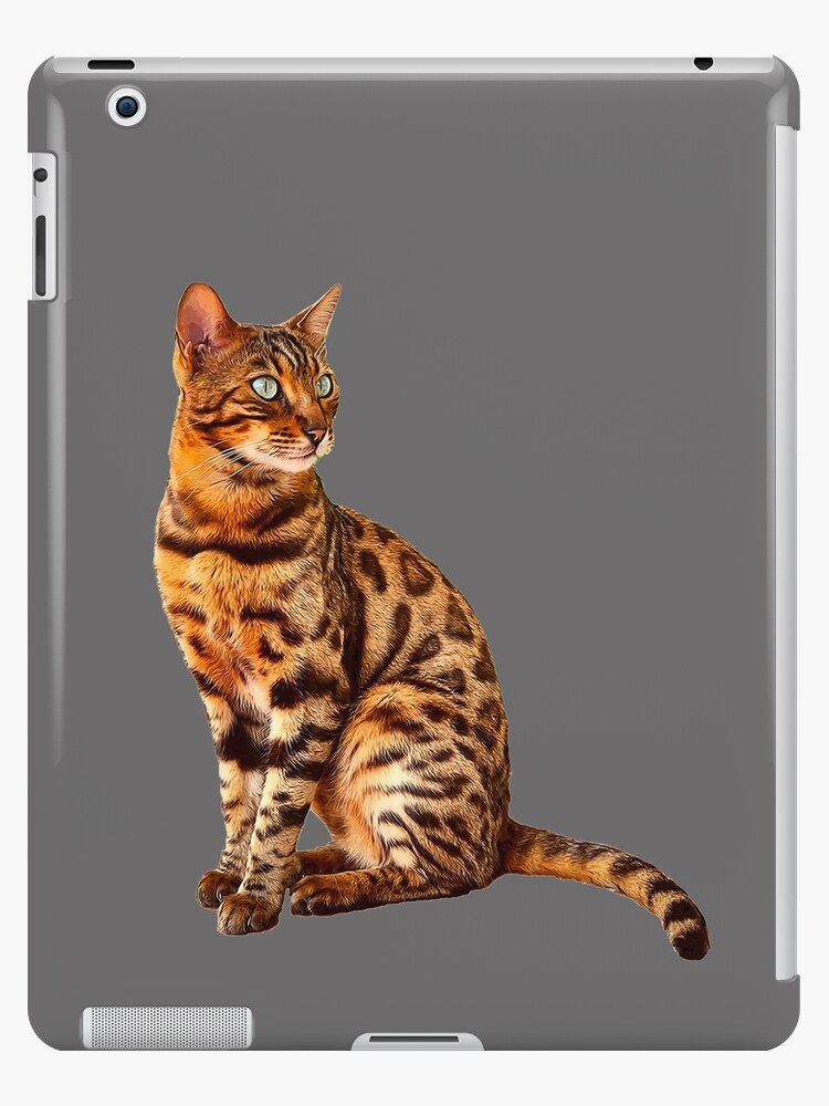 Bengal Cat Kitten Sticker for Sale by Elarex