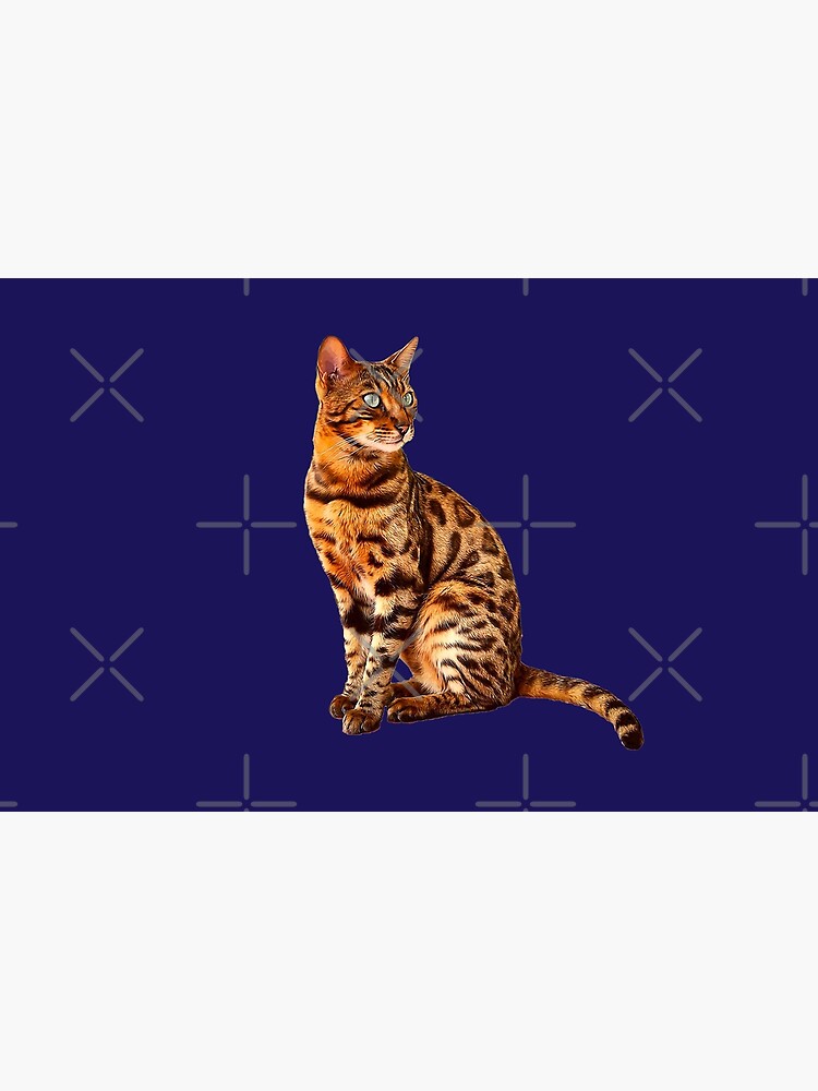 Leopard Cat Phone Background Wallpaper