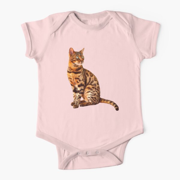 bengal cat clothes