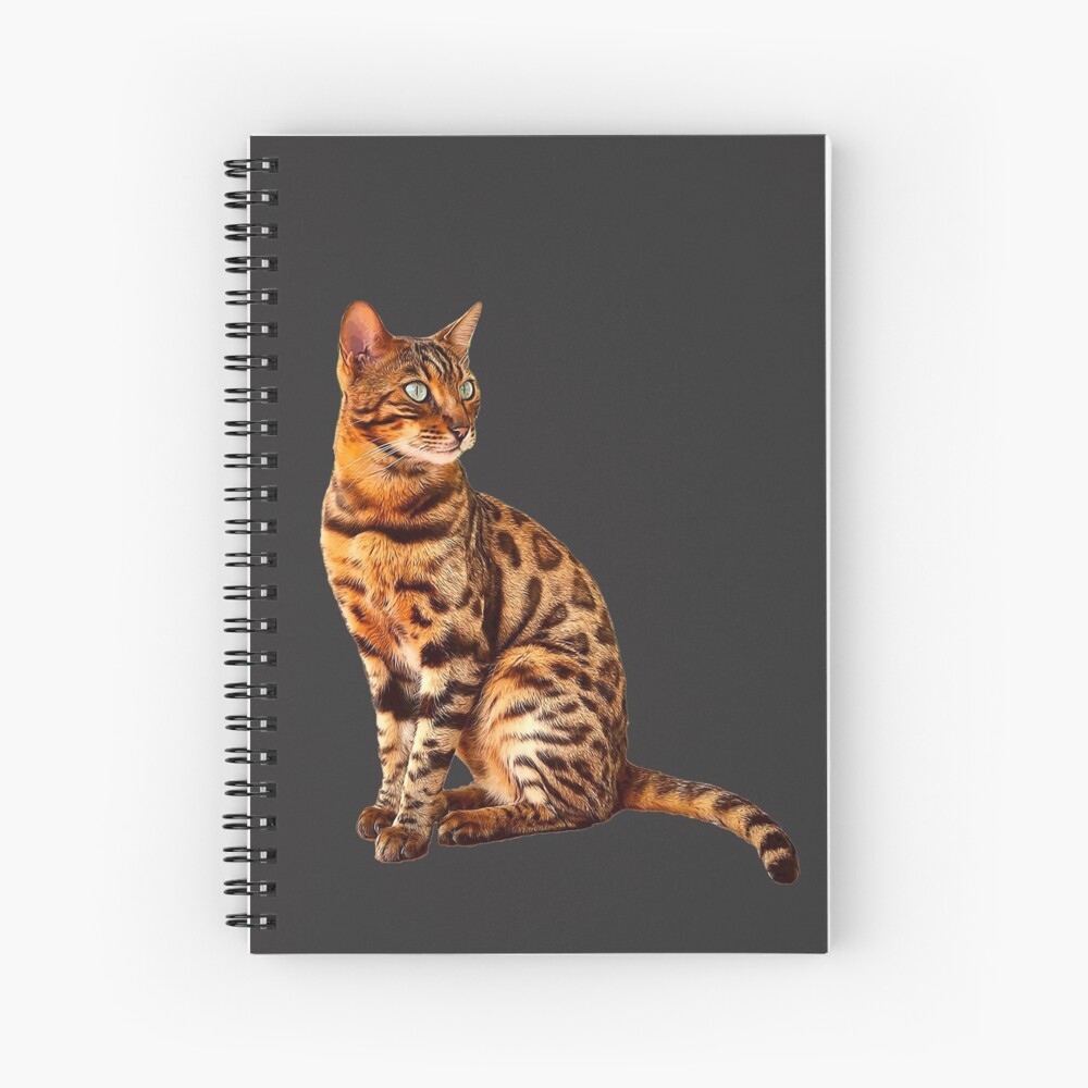 Bengal Cat Kitten Sticker for Sale by Elarex