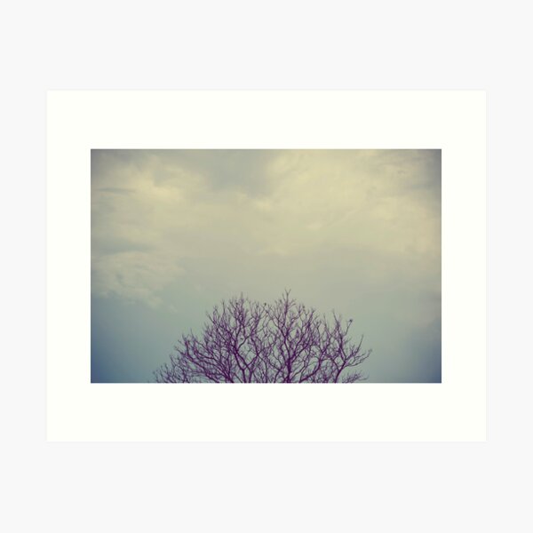 Item preview, tree tops ... designed and sold by karenanderson.