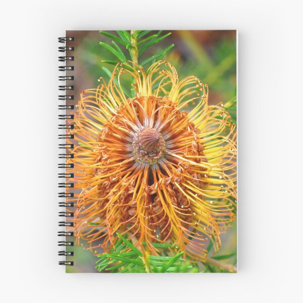 Item preview, Banksia Flower - Australian Native designed and sold by Marilyn Harris.