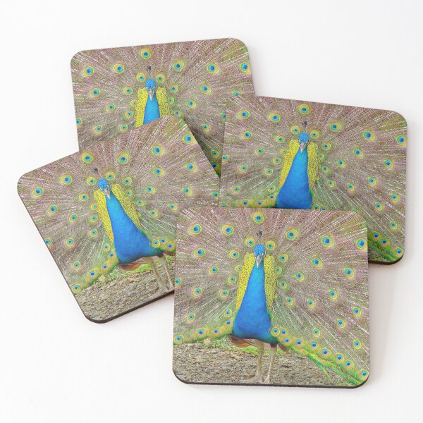 Item preview, Peacock showing its feathers designed and sold by Photopat.
